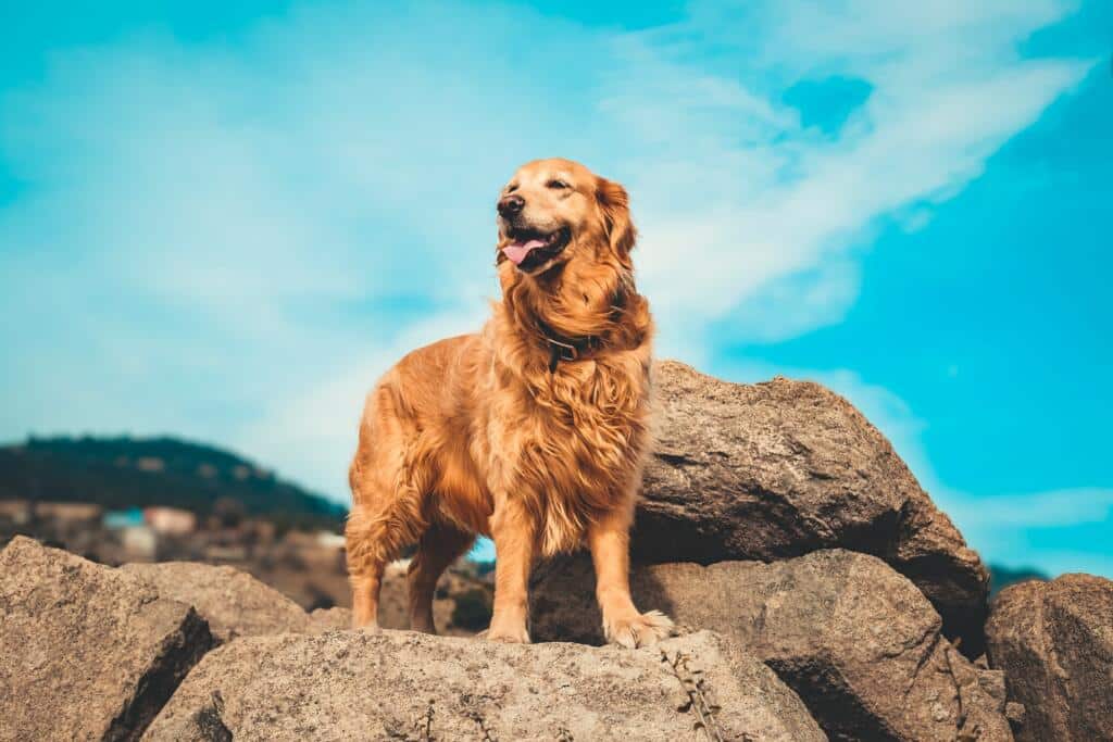 Enis Yavuz Kkturtgkdys Unsplash