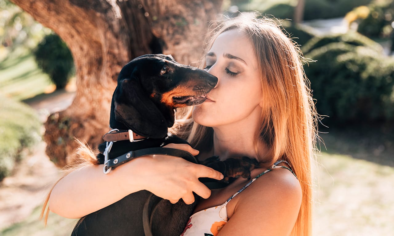 5 Manieren Om Je Hond Liefde Te Tonen Alles Over