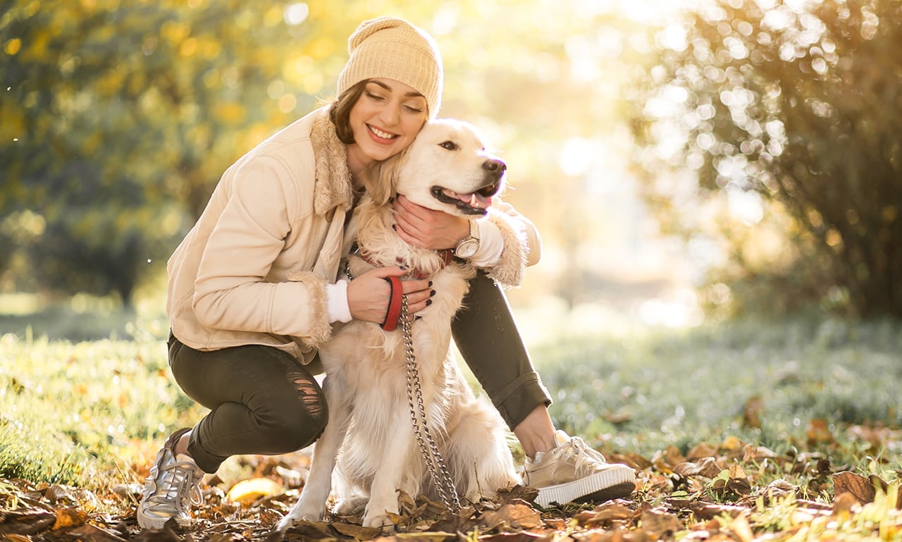 waarom graaft een hond