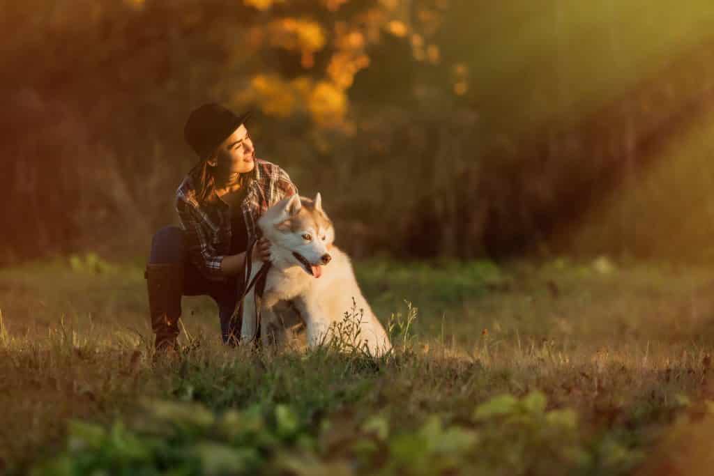 hond knuffelen