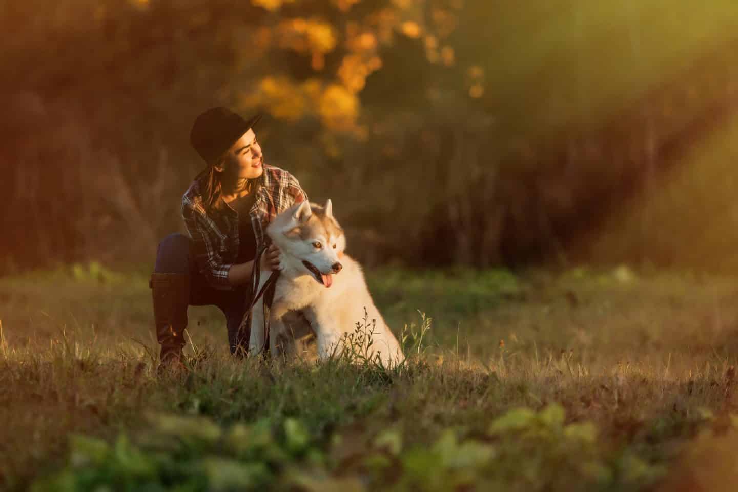 hond knuffelen