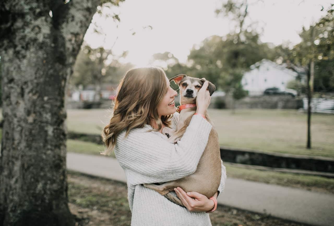 10 spelletjes voor je hond