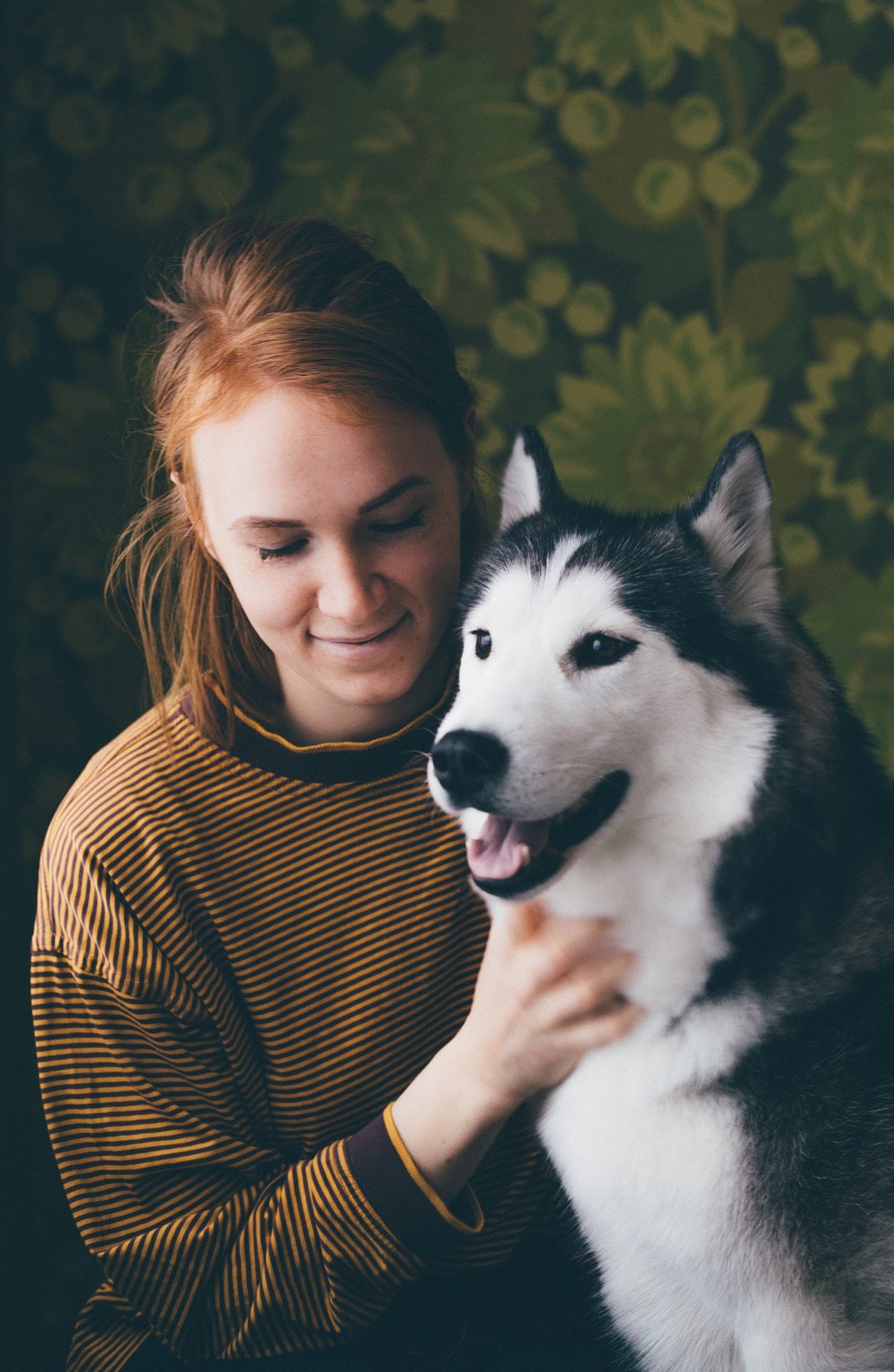 honden verzekering vergelijken