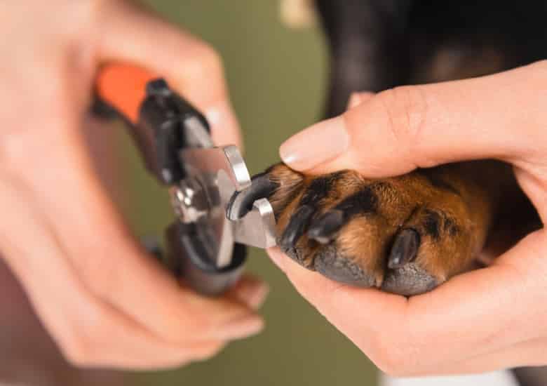 nagels knippen