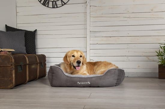 1-Scruffs-Cosy-Box-met-hond
