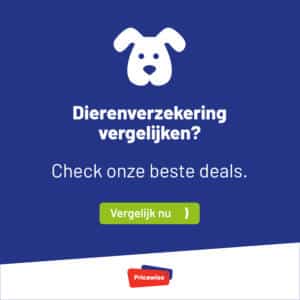 Pw Dierenverzekering Banner 1200x1200