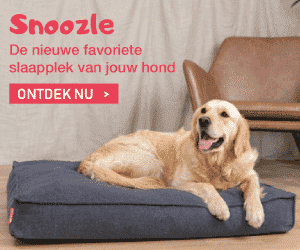 Allesoverhondenrassen Rechts