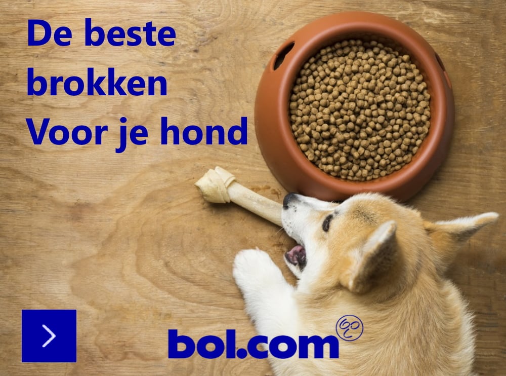 De beste hondenbrokken