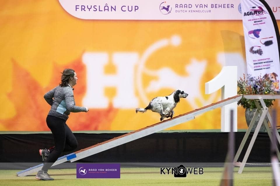 2 Event Hond 2023 Agility Wedstrijd