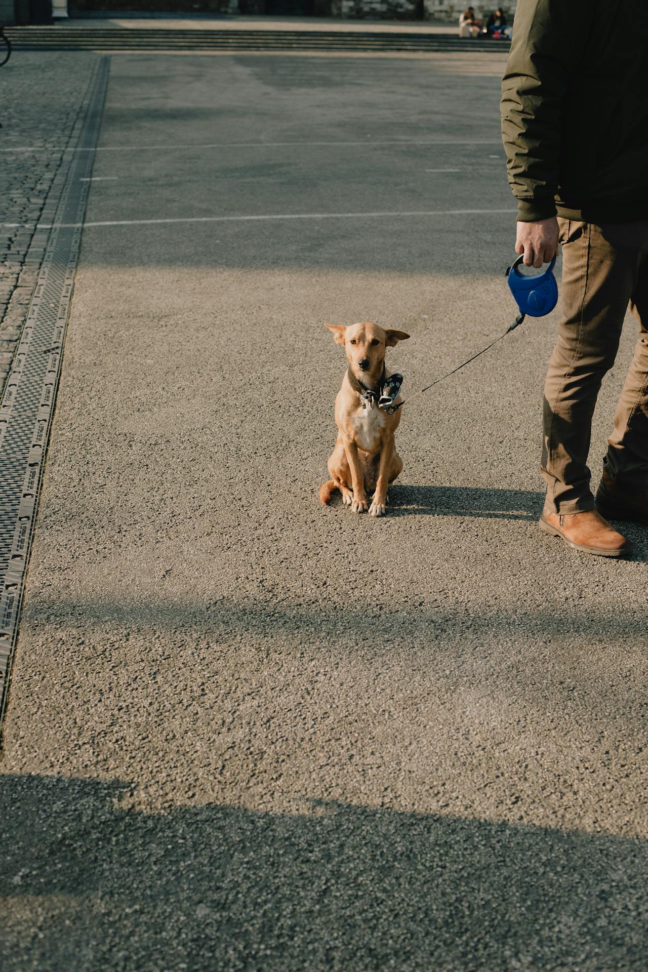 Pexels Sinileunen 6039886