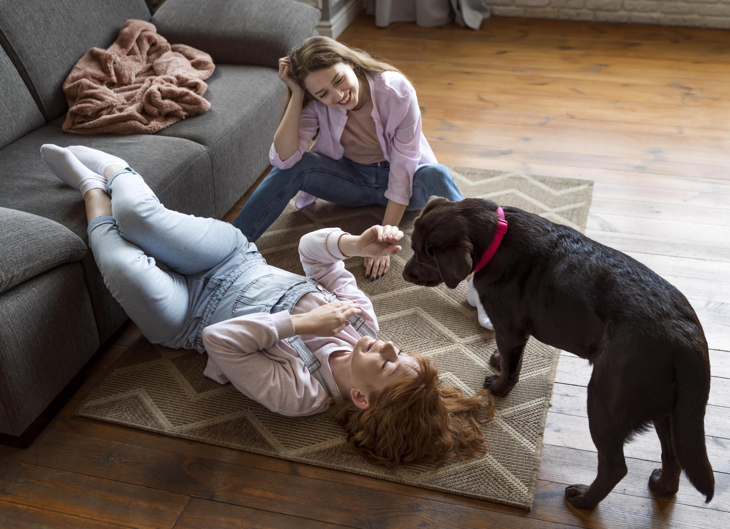 Full Shot Women Dog Floor